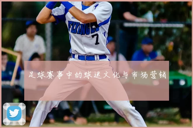 足球赛事中的球迷文化与市场营销