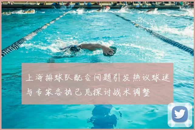 上海排球队配合问题引发热议球迷与专家各执己见探讨战术调整