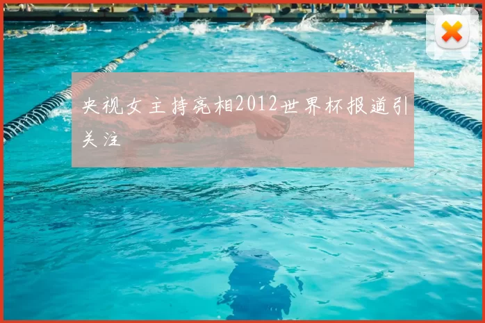 央视女主持亮相2012世界杯报道引关注