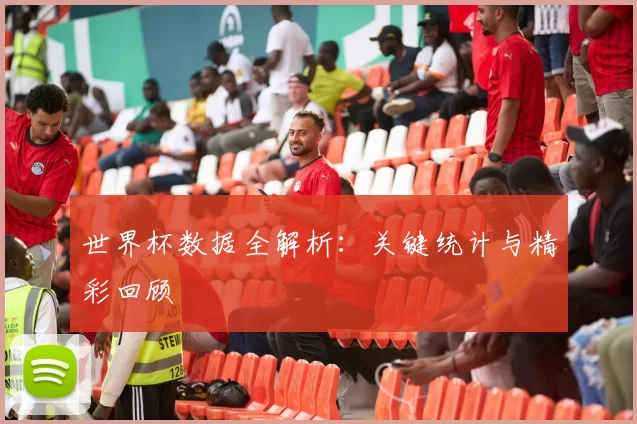 世界杯数据全解析:关键统计与精彩回顾