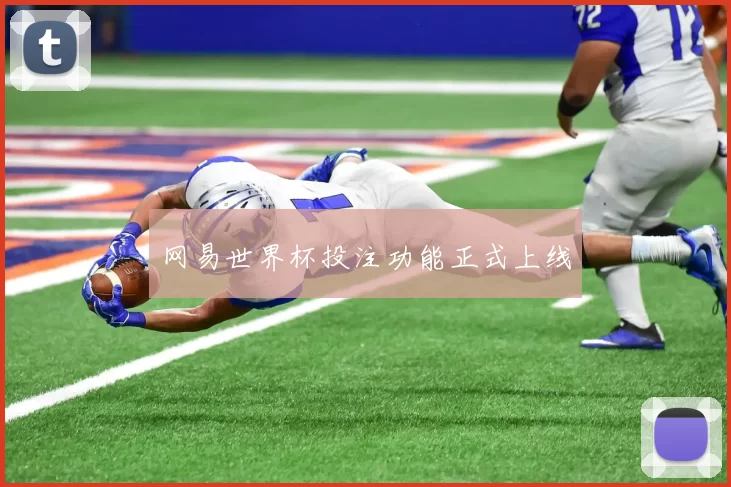 网易世界杯投注功能正式上线