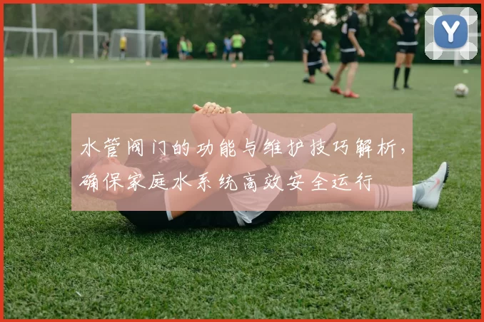 水管阀门的功能与维护技巧解析，确保家庭水系统高效安全运行