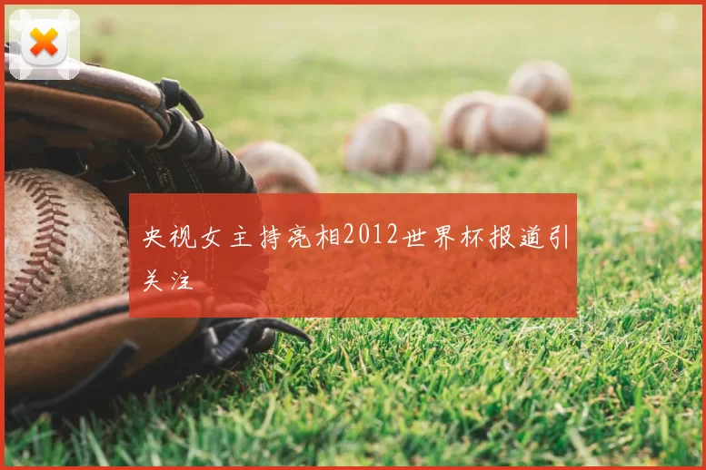 央视女主持亮相2012世界杯报道引关注