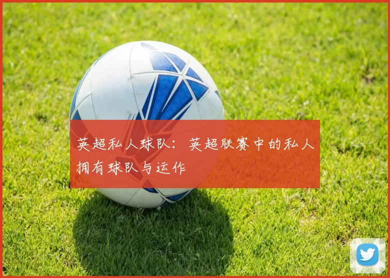 英超私人球队:英超联赛中的私人拥有球队与运作