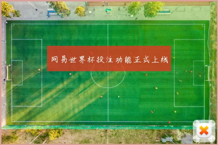 网易世界杯投注功能正式上线