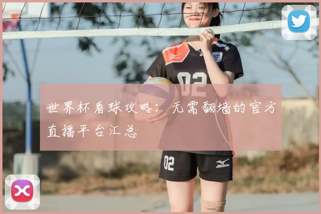 世界杯看球攻略:无需翻墙的官方直播平台汇总