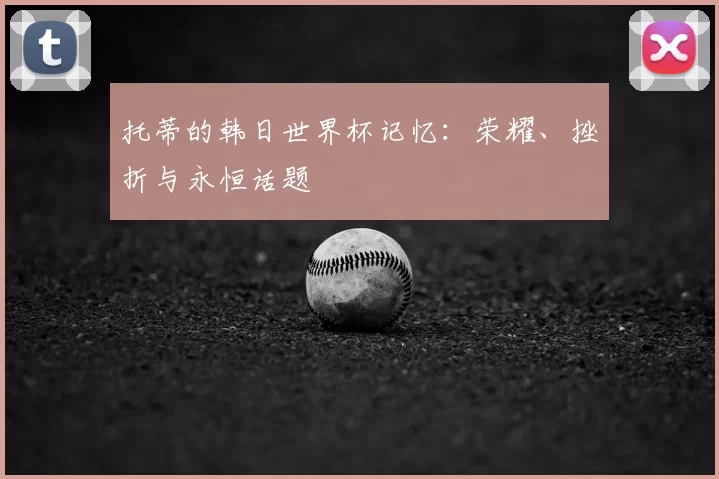 托蒂的韩日世界杯记忆：荣耀、挫折与永恒话题