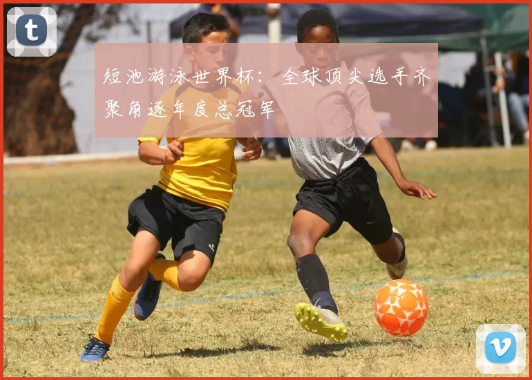短池游泳世界杯:全球顶尖选手齐聚角逐年度总冠军
