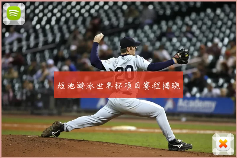 短池游泳世界杯项目赛程揭晓
