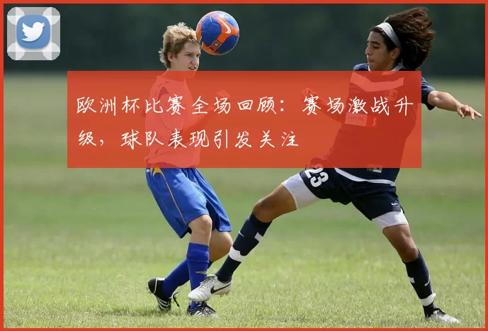 欧洲杯比赛全场回顾:赛场激战升级,球队表现引发关注