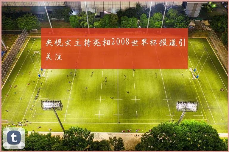 央视女主持亮相2008世界杯报道引关注