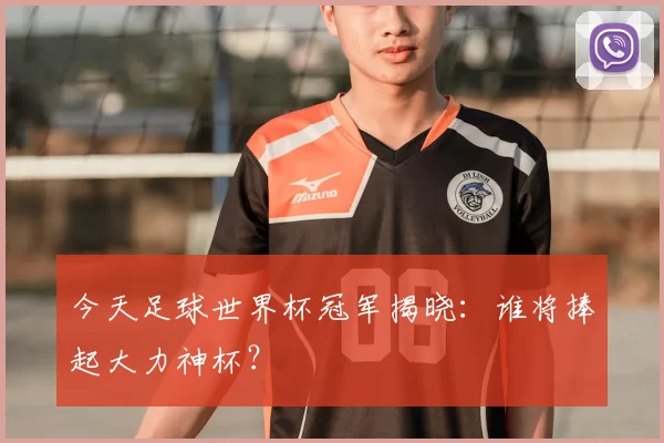 今天足球世界杯冠军揭晓：谁将捧起大力神杯？