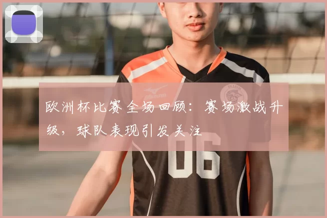 欧洲杯比赛全场回顾:赛场激战升级,球队表现引发关注