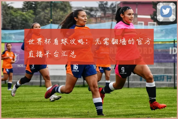 世界杯看球攻略:无需翻墙的官方直播平台汇总